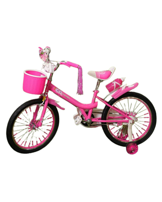 Phillips Bicycle ( 20 Inch)