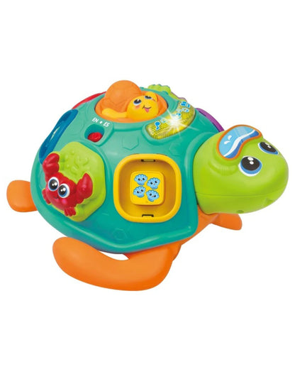 WINFUN Pull Along Sort N Learn Turtle