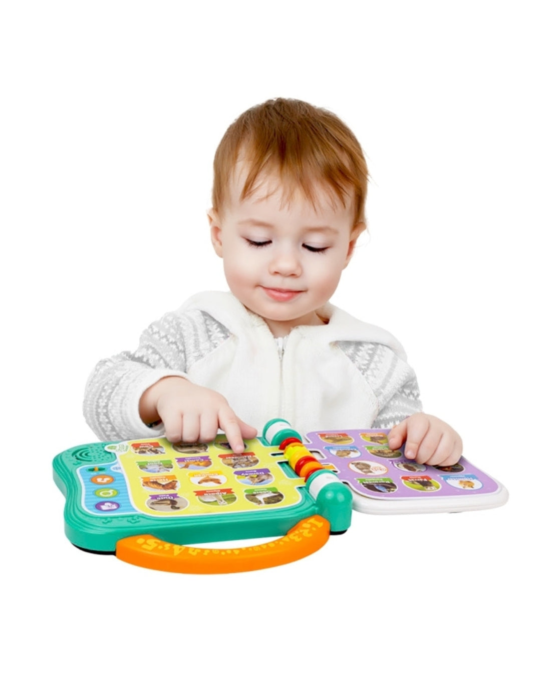 Learning Book – Animals