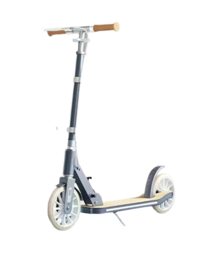 Scooter 2 Wheels (Assorted)