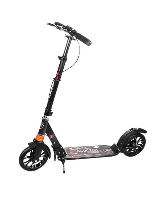 Adult Scooter (Assorted)