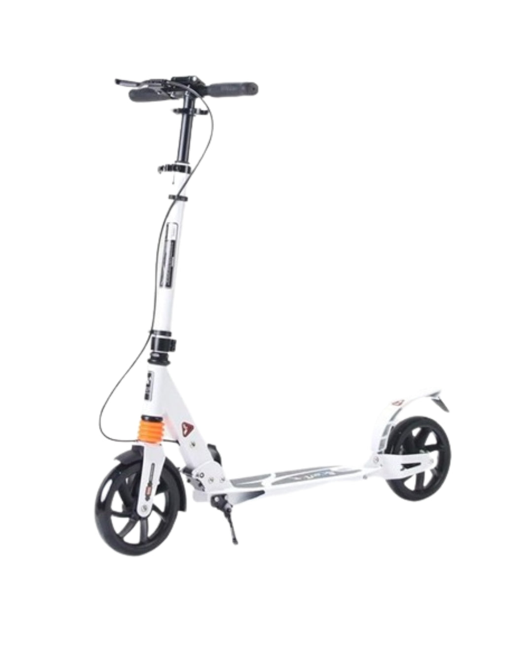 Adult Scooter (Assorted)