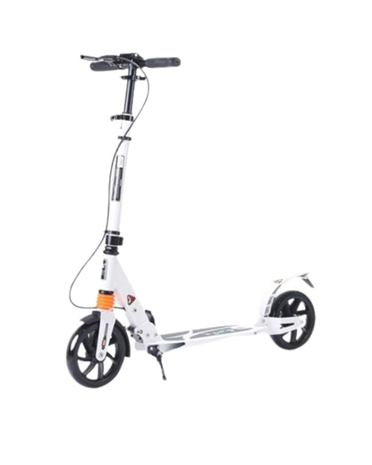 Adult Scooter (Assorted)