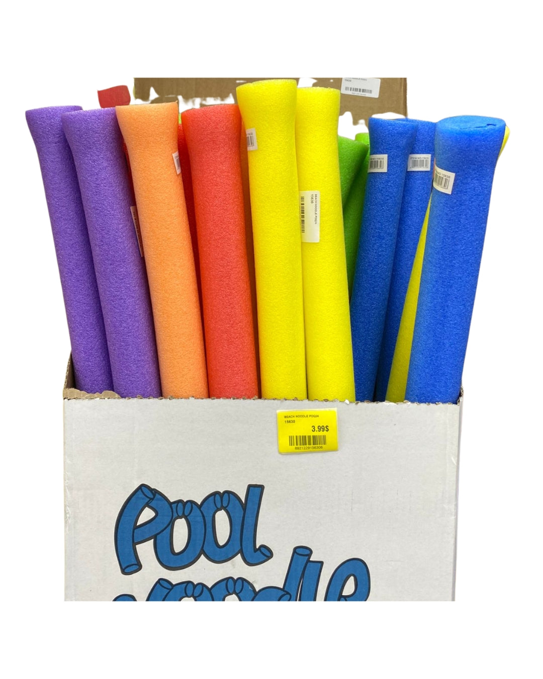 Foam Pool Noodles (Assorted)