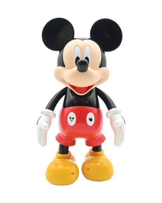 Mickey Educational Robot