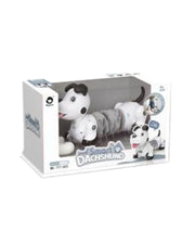 Interactive Robot Dog