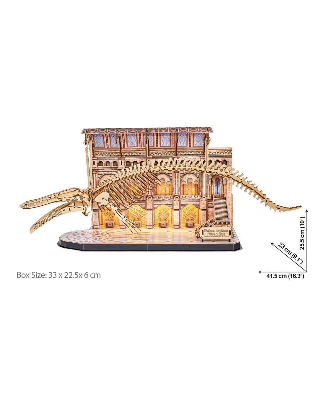 CubicFun Natural Museum Blue Whale 3D Puzzle