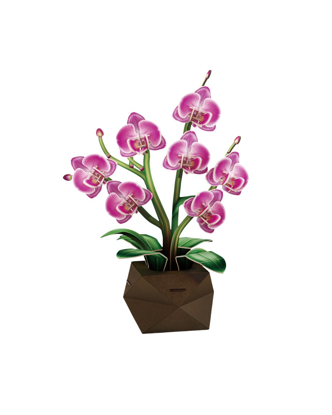 CubicFun Orchid 3D Puzzle