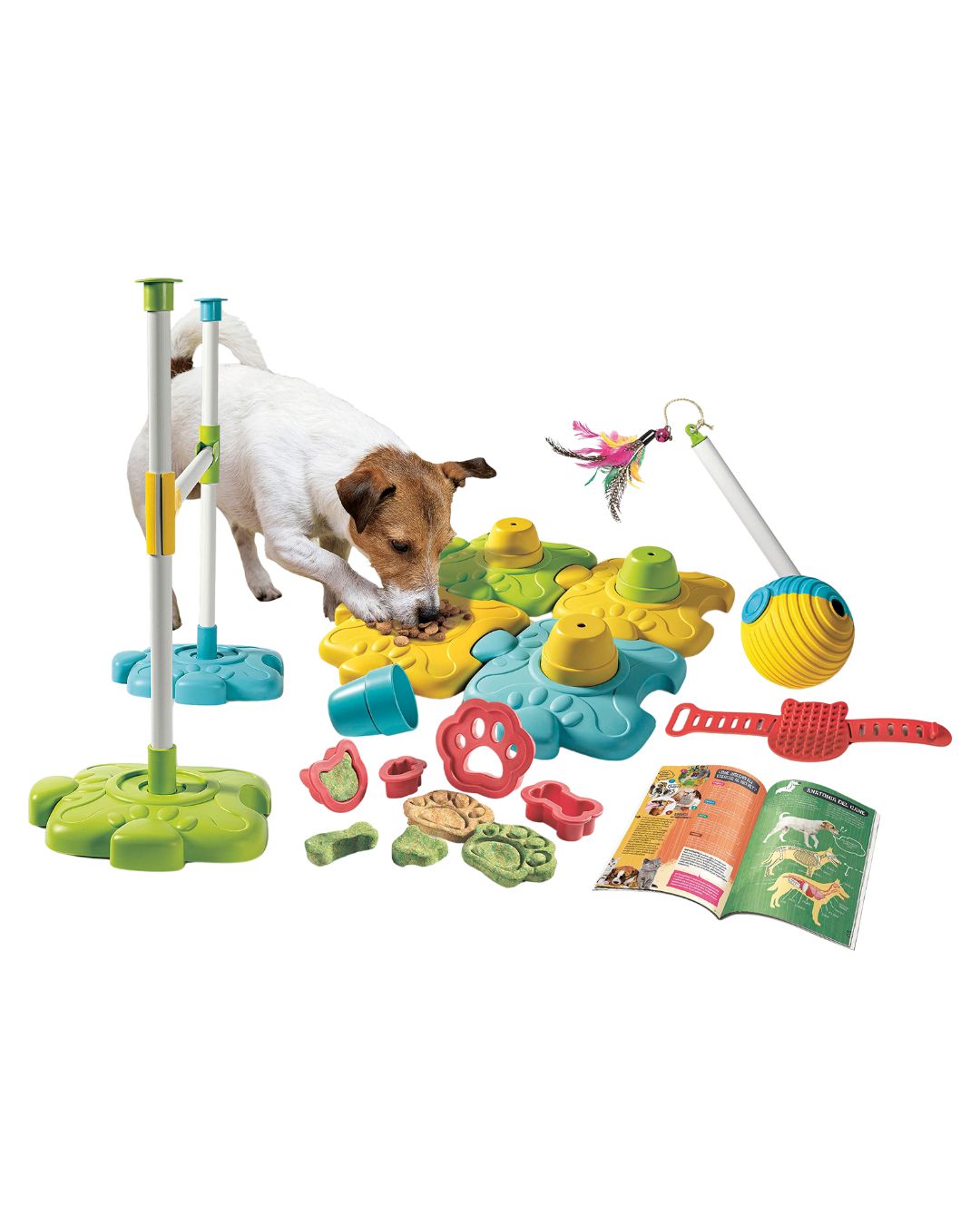 Pet Lab