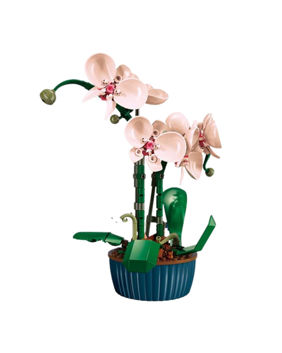 Pink & White Botanical Blooms