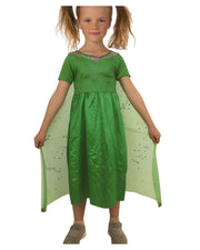 Fairy Costume – Assorted Sizes