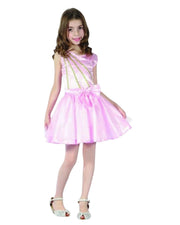 Pink Princess Dress Costume – Assorted Sizes