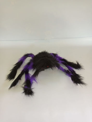 Picture of Spider, Purple Legs