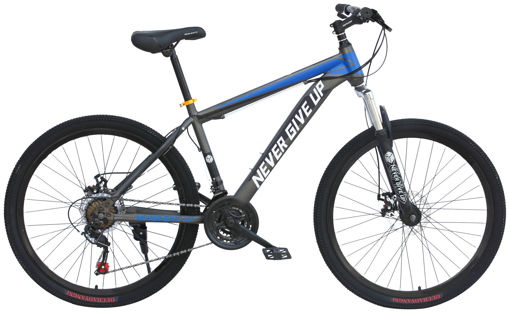 Picture of Philips Bicycle Blue (24inch)