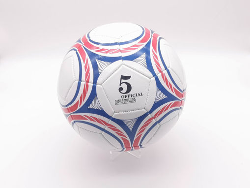 Picture of Size 5 Soccer
