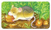 Picture of Ravensburger My First Puzzle Garden Animals (9X2 Pieces)