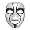 Picture of WWE Masks (Assorted)