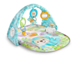 Picture of Fisher Price Butterfly Dreams Musical Playtime Gym