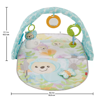 Picture of Fisher Price Butterfly Dreams Musical Playtime Gym