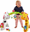 Picture of Fisher Price Newborn To Toddler Play Gym