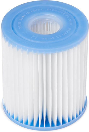 Picture of Intex Type H Filter Cartridge