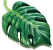 Picture of Intex Palm Leaf Mat (213 x 142 cm)