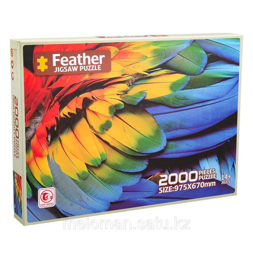 Picture of Feather Puzzle (2000 Pieces)