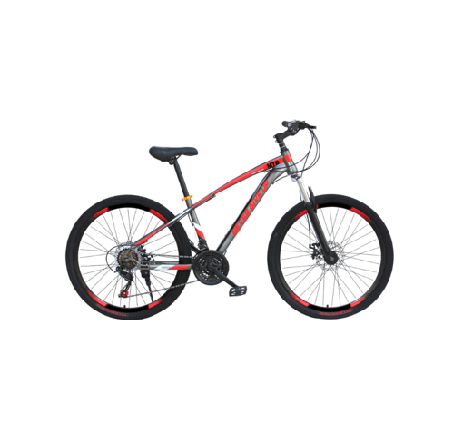 Picture of Philips Bicycle Grey (24 inch)